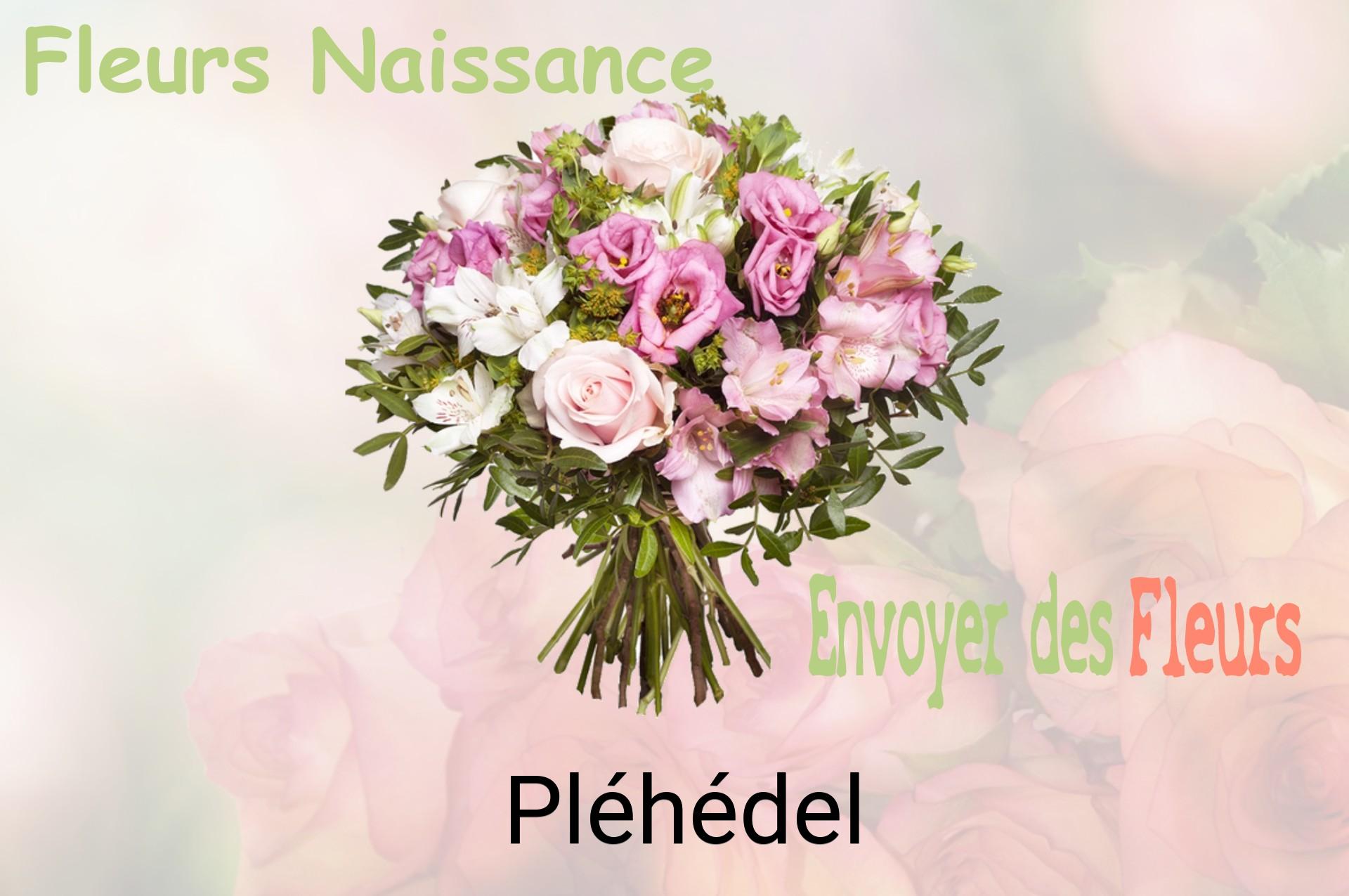 Bouquet de fleurs de naissance livré à Pléhédel